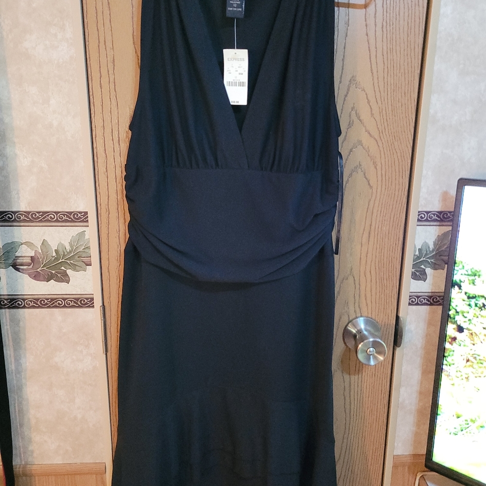 Size 12 express dress